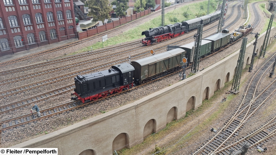 13-FocusStack_195101 KL.jpg