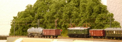 P1010115_emb.jpg